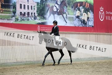 181887_mtp_04_R62_8514.JPG