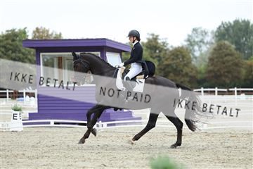181923_mtp_04_R62_8470.JPG