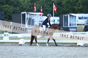 181894_mtp_05_R62_5490.JPG