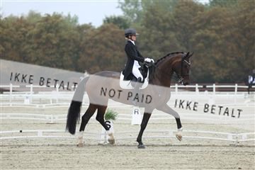 181923_mtp_03_R62_7629.JPG