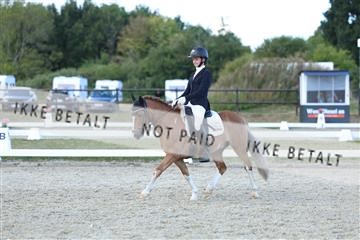 181894_mtp_05_R62_5398.JPG