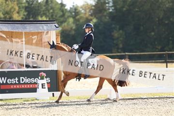 181894_mtp_02_R62_2242.JPG
