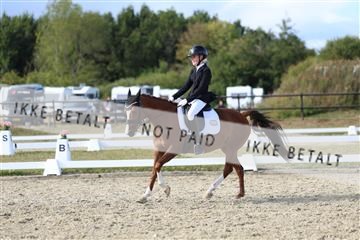 181894_mtp_05_R62_5219.JPG