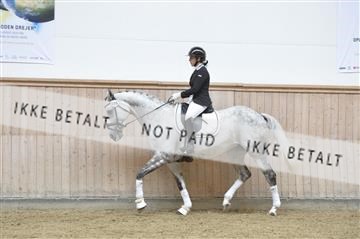 160111_nn_01__ESK1551.JPG