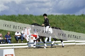 136195_abo_01__AB16207.JPG