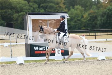 181894_mtp_02_R62_1671.JPG