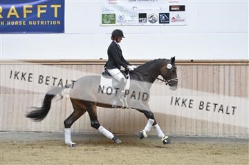 160111_nn_01__ESK1983.JPG