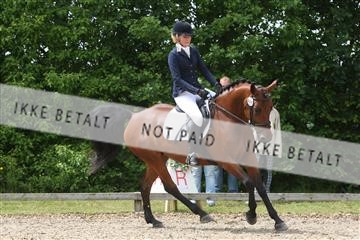 135518_ms_01_IMG_1565.JPG