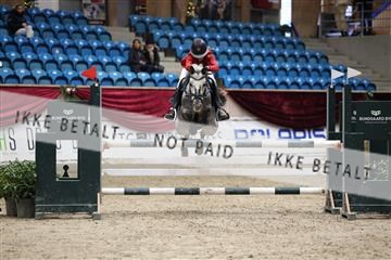 175934_avh_02_7637.JPG