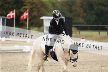 181894_mtp_02_R62_1100.JPG