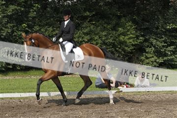 130918_sc_01_IMG_0360.jpg