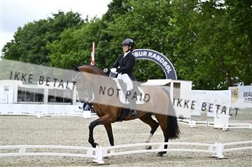 181449_kbb_03_Z091867.JPG