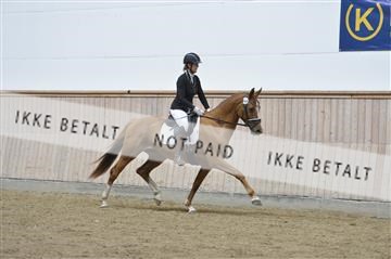 160111_nn_01__ESK1685.JPG