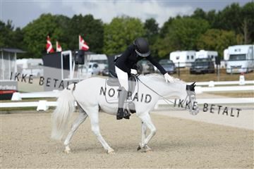 181894_mtp_05_R62_4146.JPG
