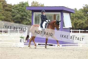 181923_mtp_04_R62_8352.JPG
