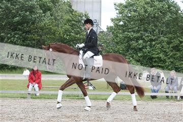 135518_ms_02_IMG_2818.JPG