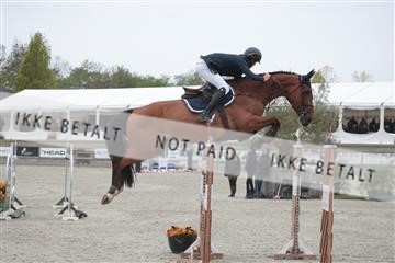 179331_kbb_01_R6II9904.JPG