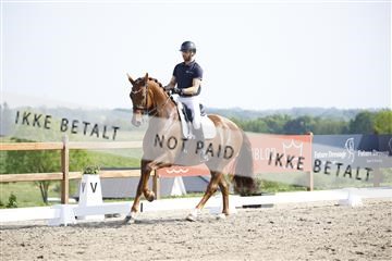 181449_kbb_02_6II1281.JPG