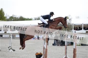 179331_kbb_01_R6II9833.JPG