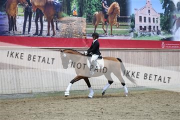181887_mtp_05_R62_9693.JPG