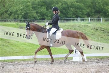 147698_nn_01_IMG_8790.JPG