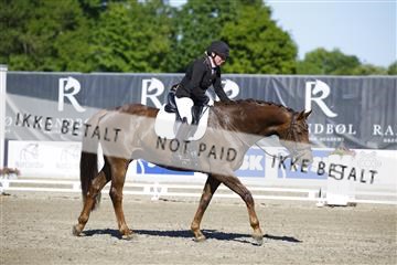 181449_kbb_01_6II9707.JPG