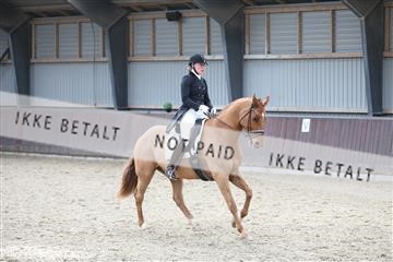 174313_mtp_01_3M5A6121.JPG