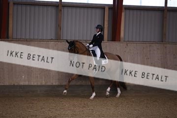 173782_mtp_01_3M5A8130.JPG
