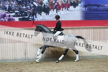 181887_mtp_05_R62_9657.JPG