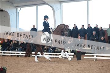 179022_kbb_01_R6II2559.JPG