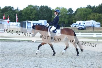 181894_mtp_05_R62_5464.JPG