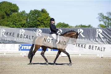 181449_kbb_01_6II9649.JPG