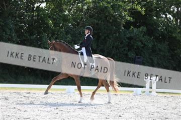 172073_mtp_01_3M5A4793.JPG