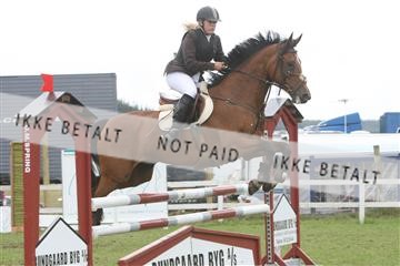 5925_ma_05_IMG_0708.JPG