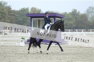181923_mtp_03_R62_7750.JPG