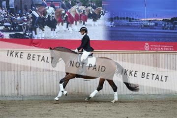 181887_mtp_02_R62_7408.JPG