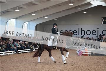 179022_kbb_01_R6II2574.JPG