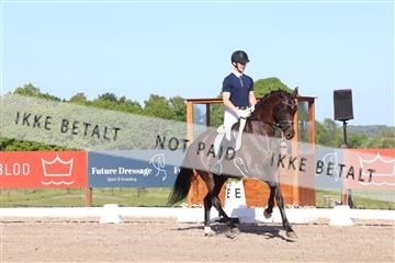 181449_bc_01R62_6265.JPG
