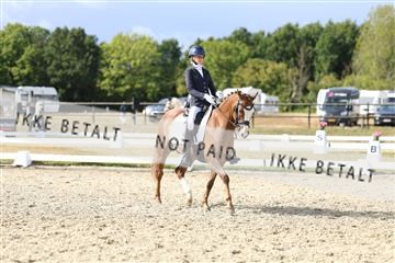 181894_mtp_05_R62_4970.JPG