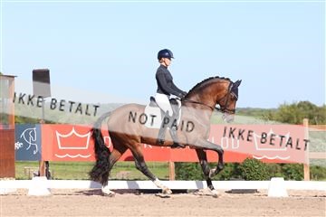 181449_bc_01R62_6207.JPG