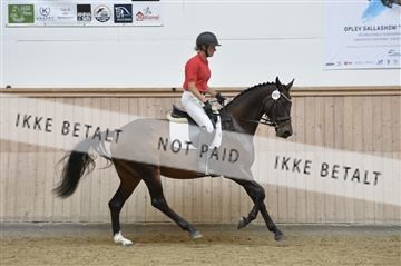 160111_nn_01__ESK1619.JPG