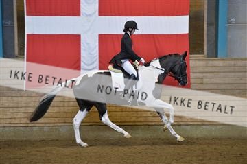 144288_abo_01__AB21966.JPG