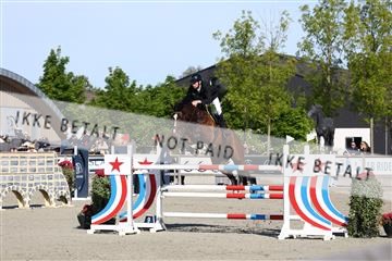 181436_avh_01_3364.JPG