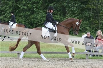 135518_ms_01_IMG_1785.JPG