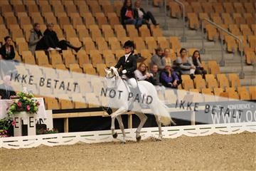 126407_abo_01_IMG_1019.JPG