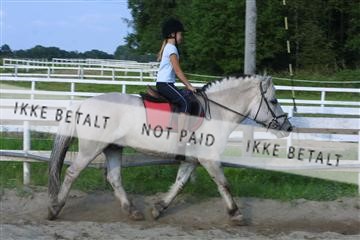 110-1039_IMG.JPG