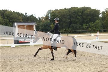 181894_mtp_03_R62_2576.JPG