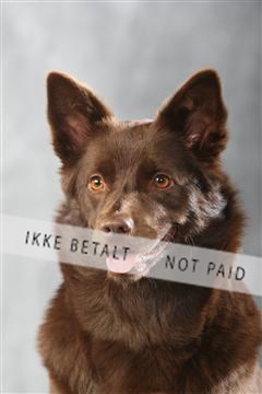 129608_le_ 01_0952.JPG