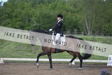 147698_nn_01_IMG_0863.JPG