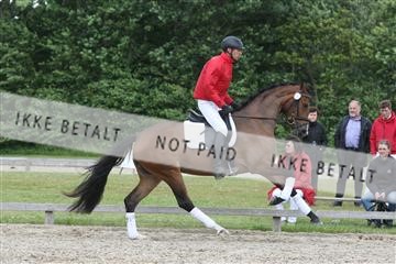 135518_ms_02_IMG_2708.JPG